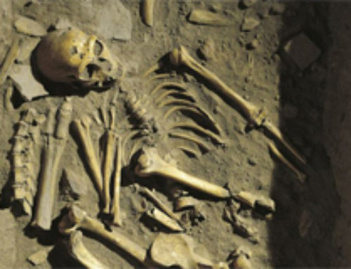 L’origine del culto dei defunti